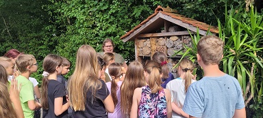 Wildbienen-Workshop in der 4.Klasse