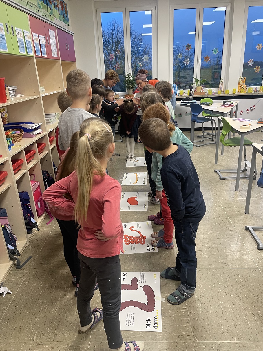 Der Weg der Nahrung in der 2. Klasse mit Klaro