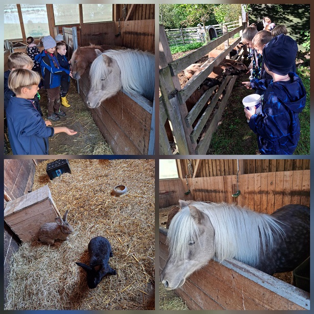 Rund um den Apfel am Schaffhäuser Hof